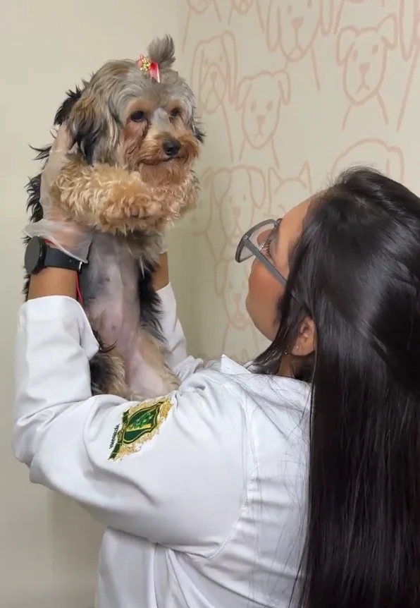 Dra. Estephanny Soares segurando um cão pequeno no consultório